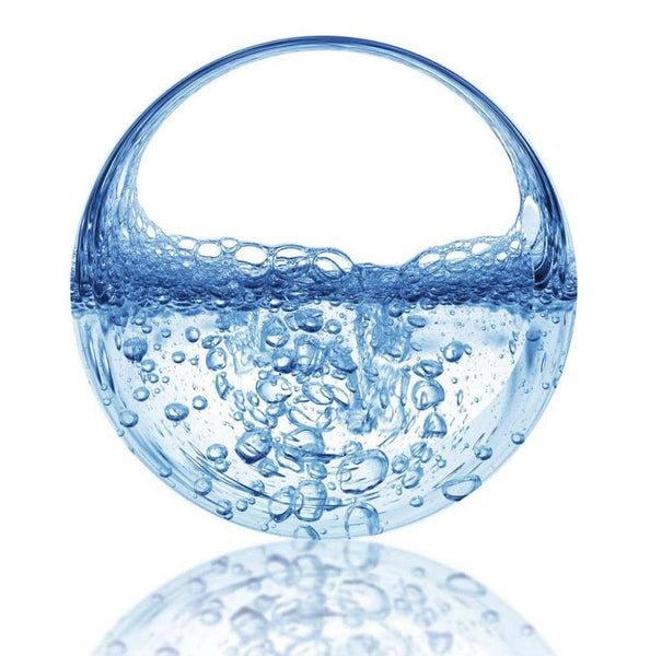 Ingredient Spotlight!.....Plant Derived Hyaluronic Acid